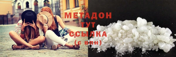 прущие грибы Медвежьегорск