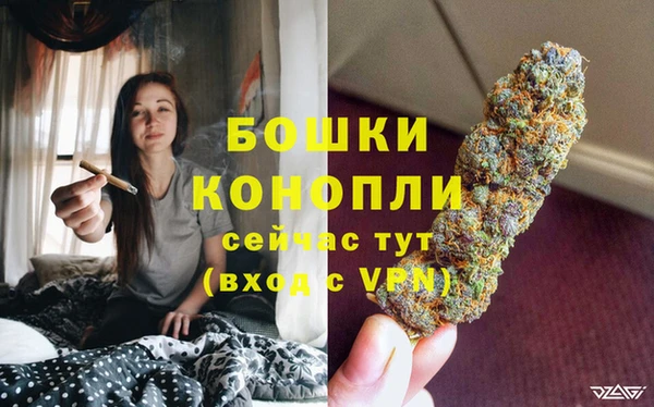 мдпв Медногорск