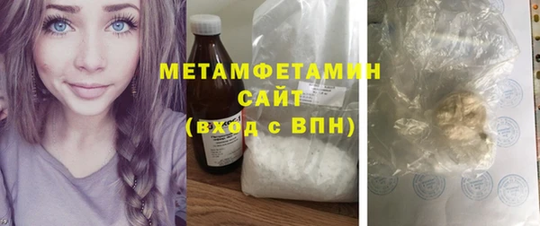 прущие грибы Медвежьегорск
