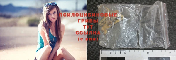мдпв Медногорск