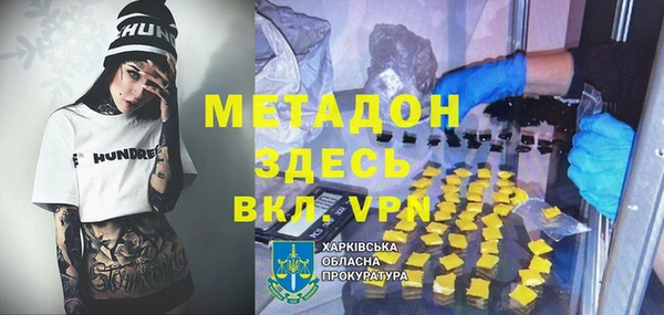 прущие грибы Медвежьегорск
