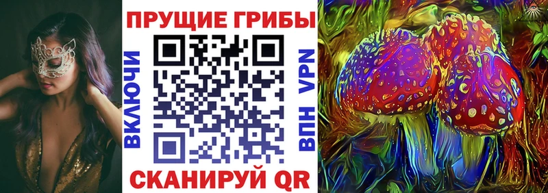 Галлюциногенные грибы MAGIC MUSHROOMS  где купить   Озёрск 